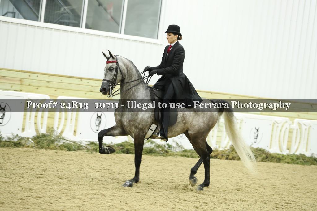 Proof 24R13_10711