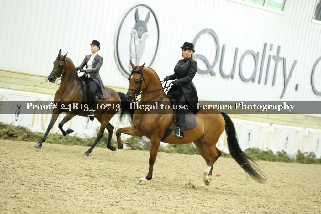 Proof 24R13_10713