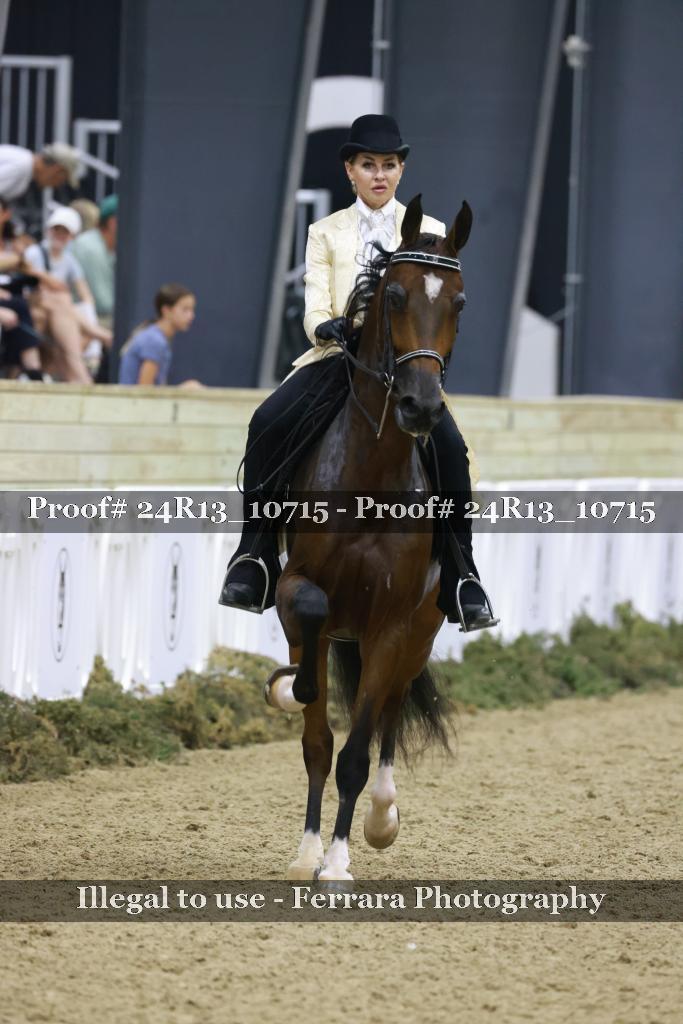 Proof 24R13_10715