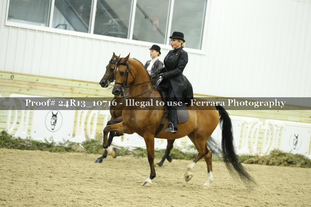Proof 24R13_10716