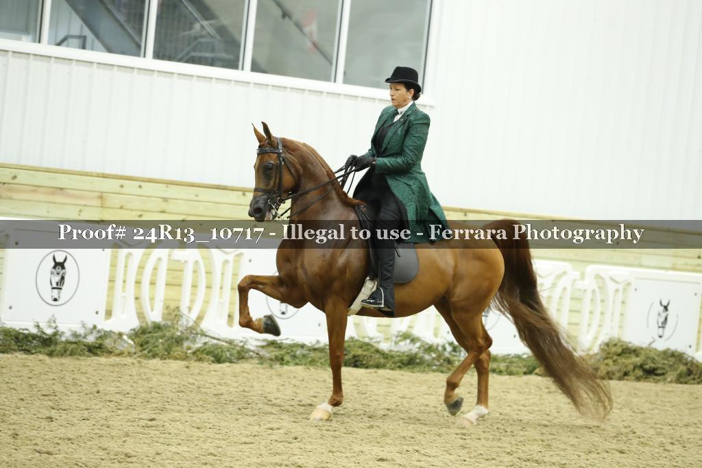 Proof 24R13_10717