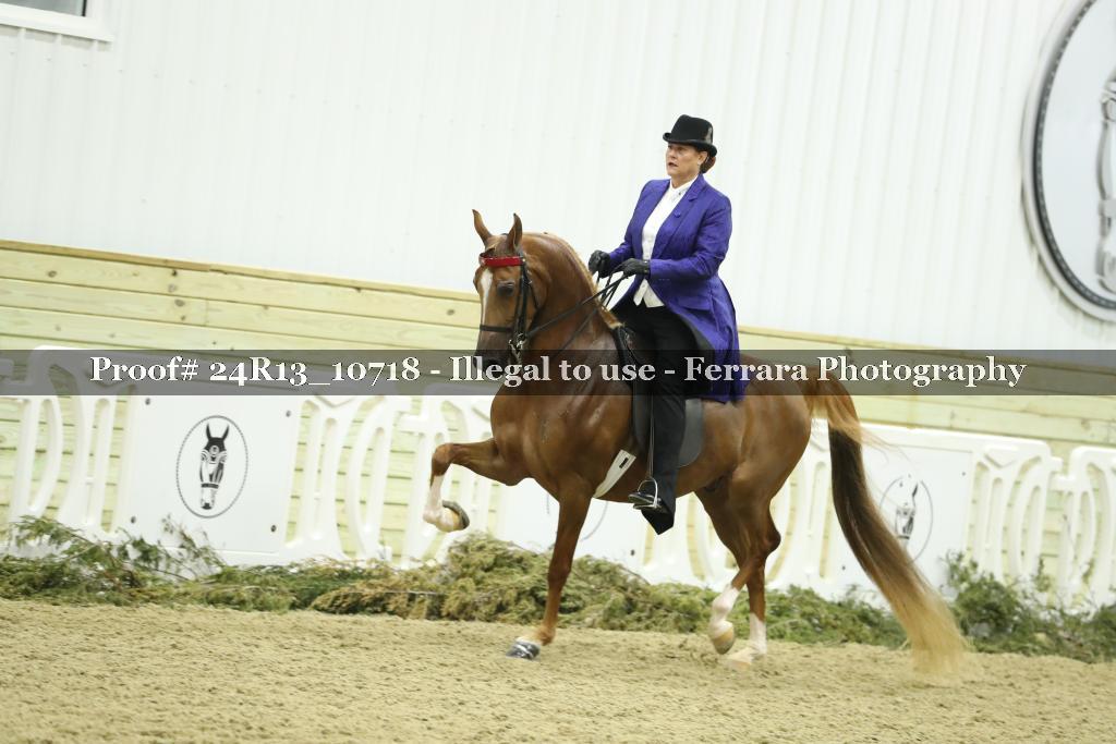 Proof 24R13_10718