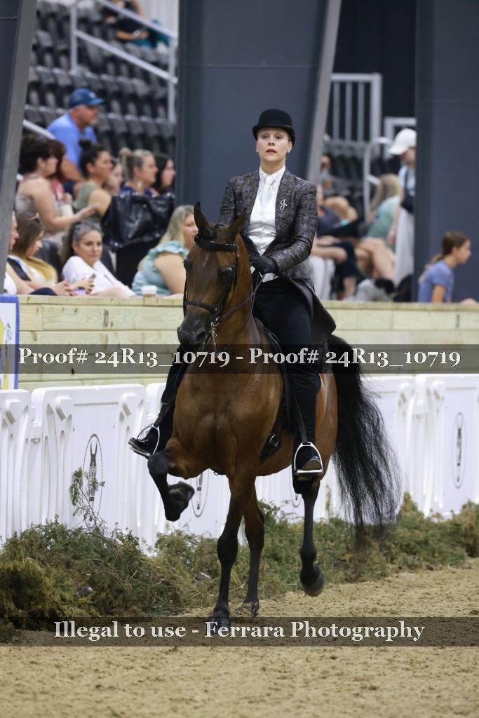 Proof 24R13_10719