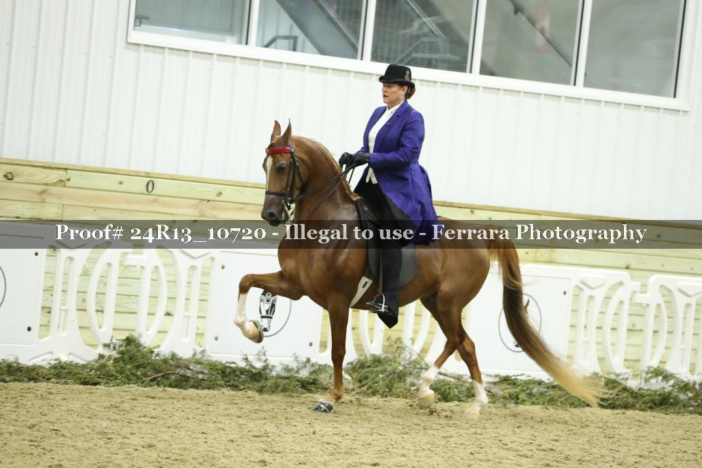 Proof 24R13_10720