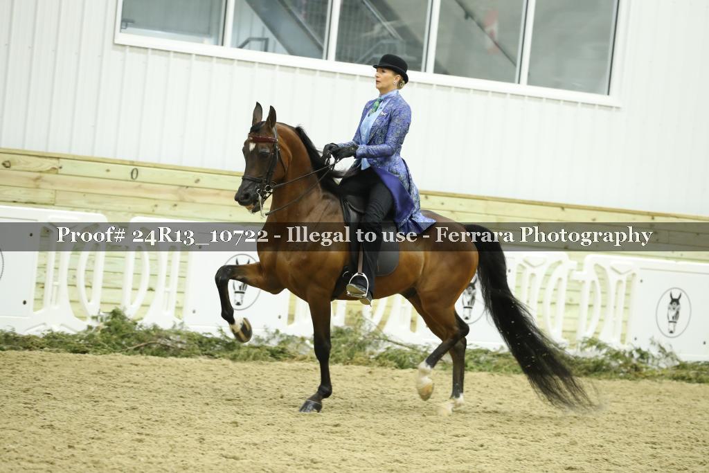 Proof 24R13_10722