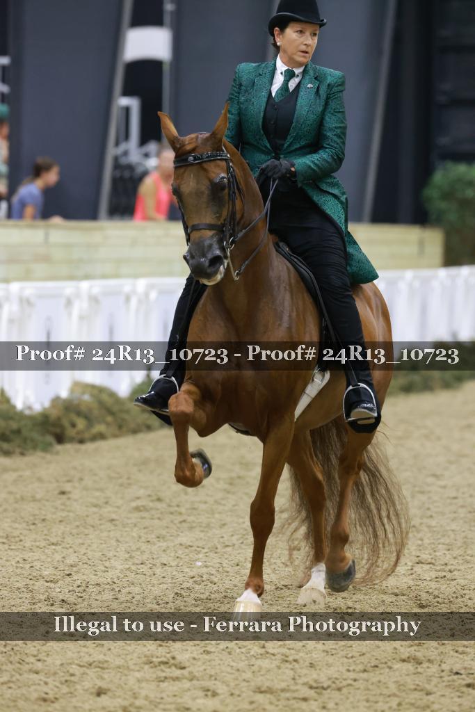 Proof 24R13_10723