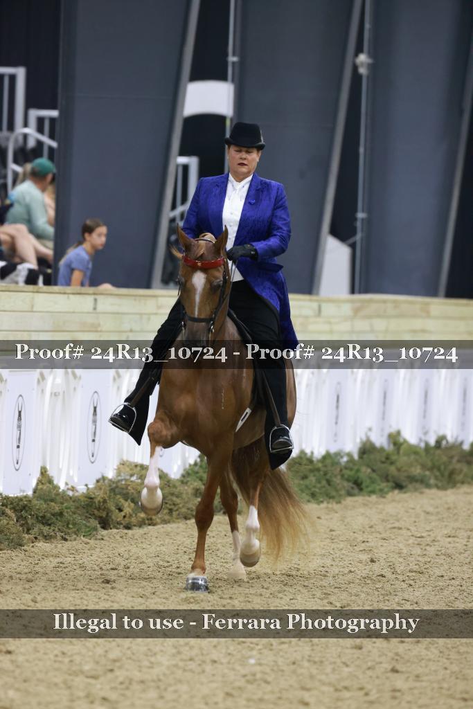 Proof 24R13_10724