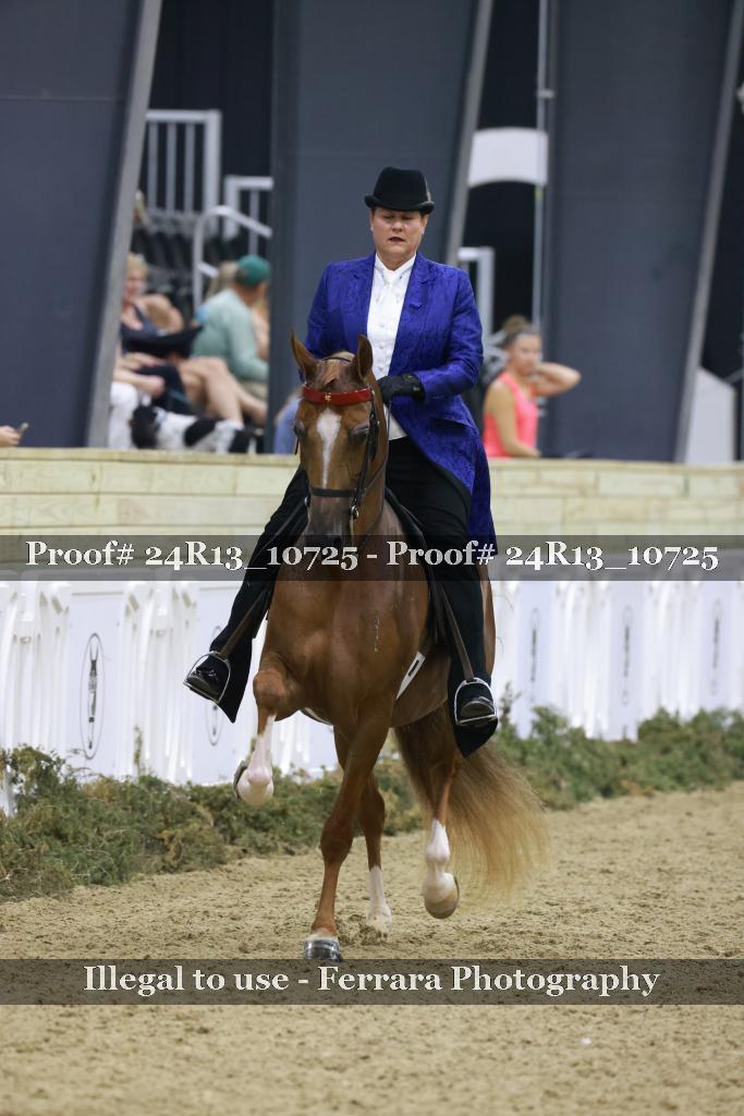Proof 24R13_10725