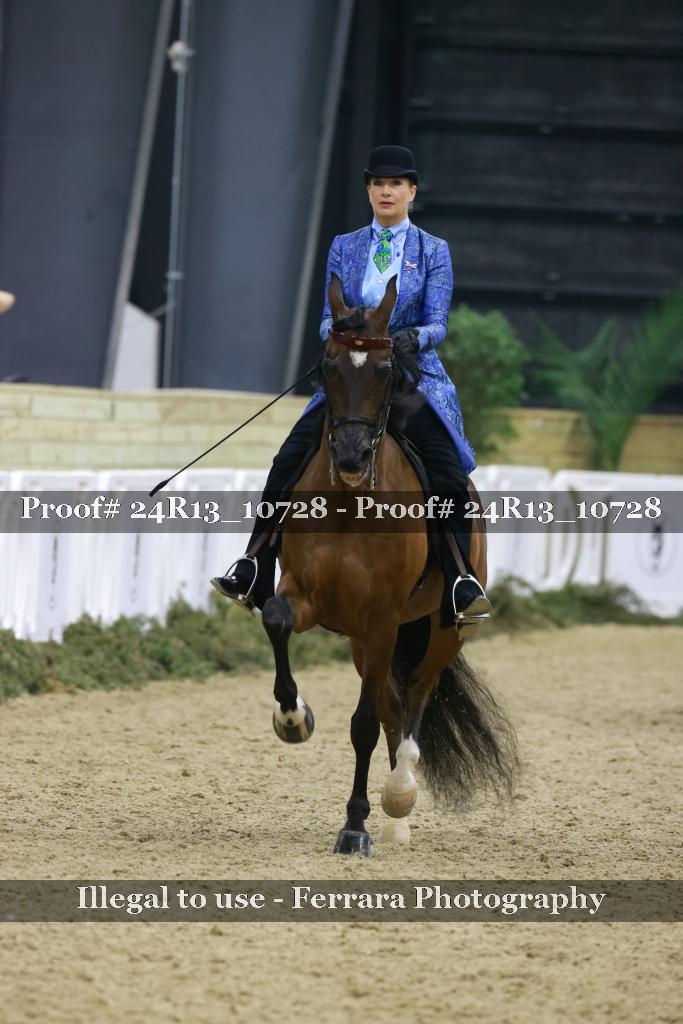 Proof 24R13_10728