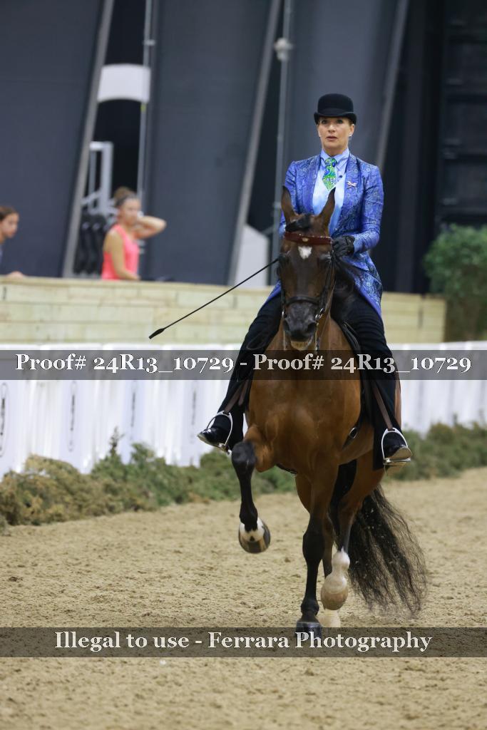 Proof 24R13_10729