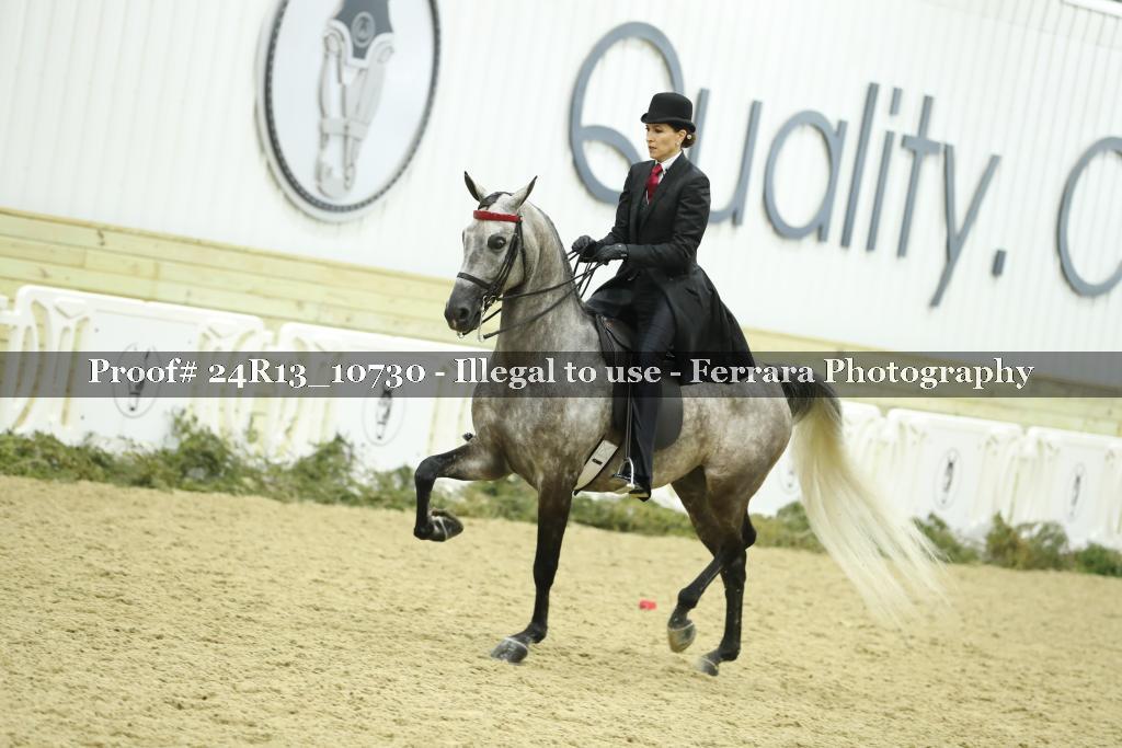 Proof 24R13_10730