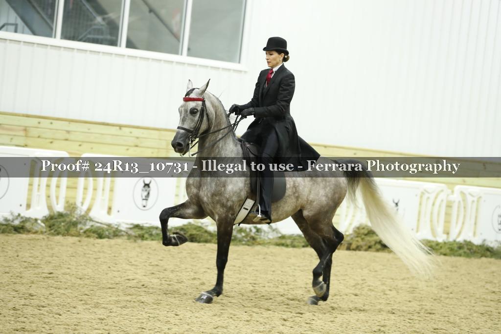 Proof 24R13_10731