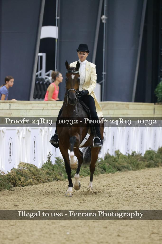 Proof 24R13_10732