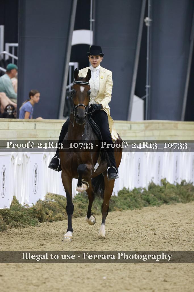Proof 24R13_10733