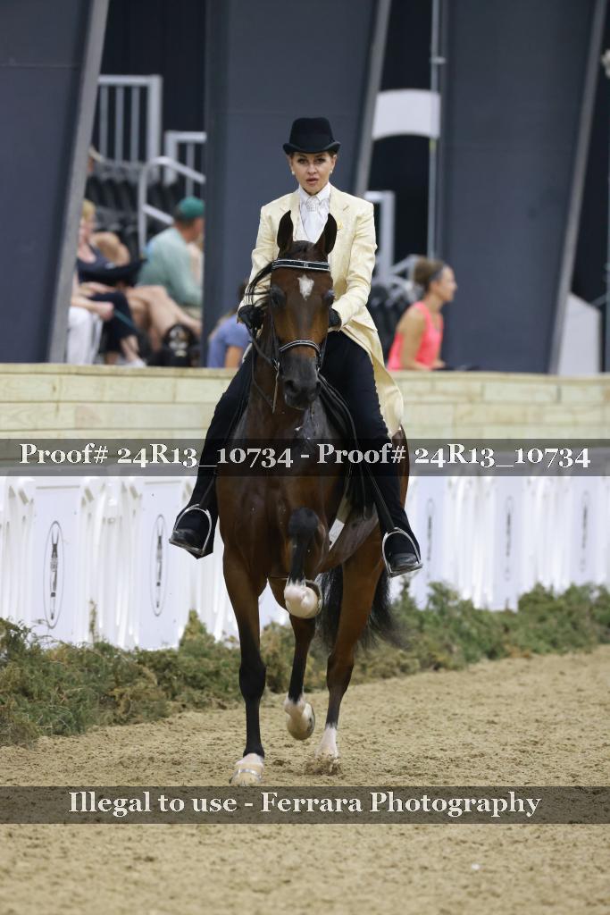 Proof 24R13_10734