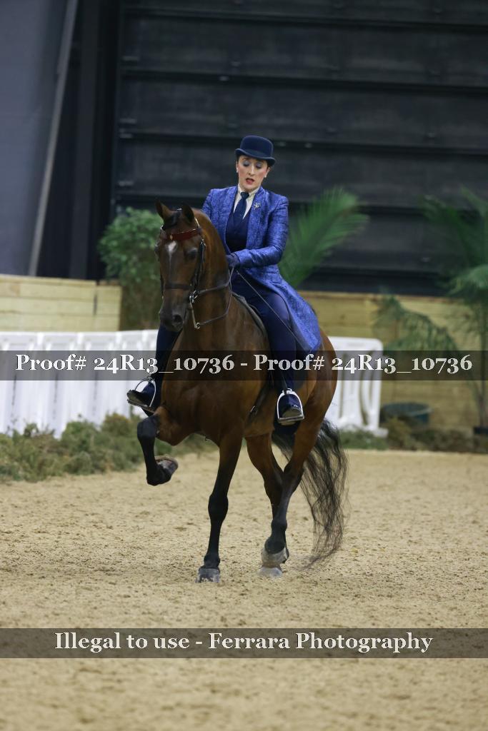 Proof 24R13_10736