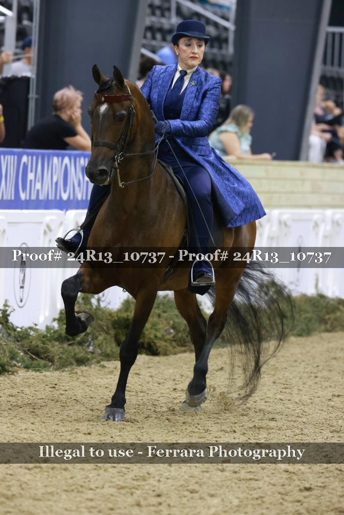 Proof 24R13_10737