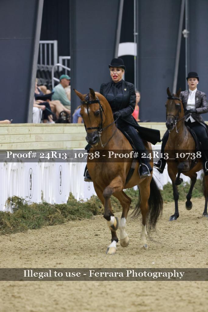 Proof 24R13_10738