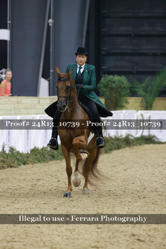 Proof 24R13_10739
