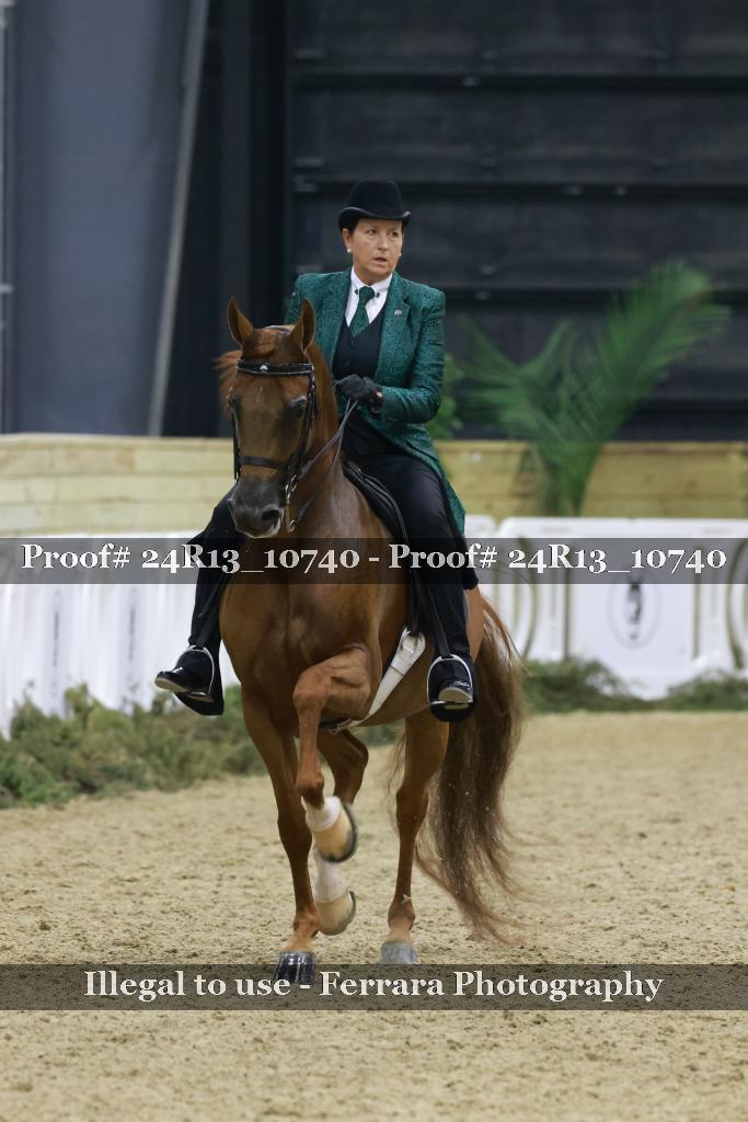 Proof 24R13_10740