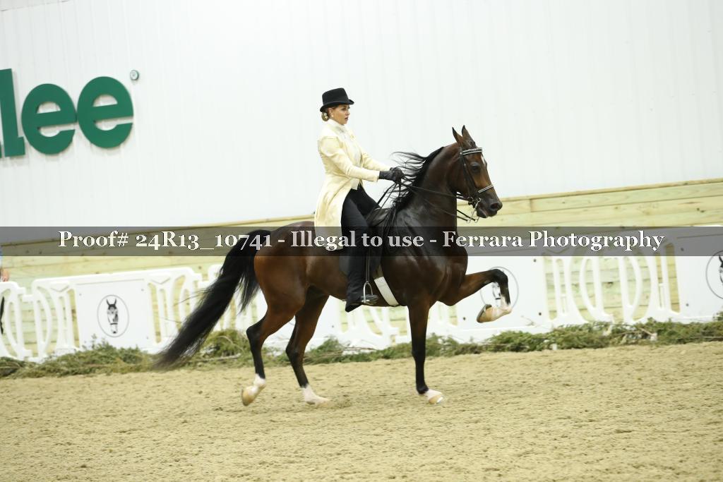 Proof 24R13_10741