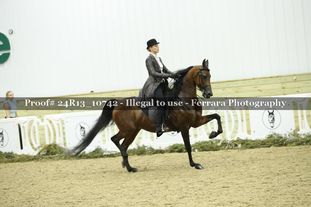 Proof 24R13_10742
