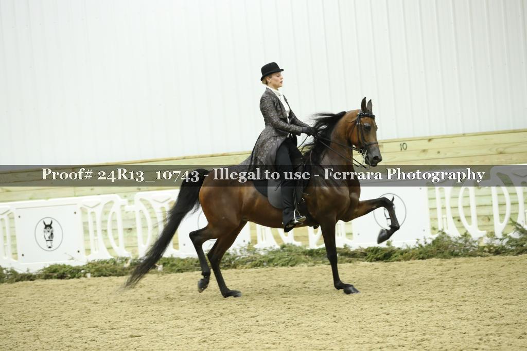 Proof 24R13_10743