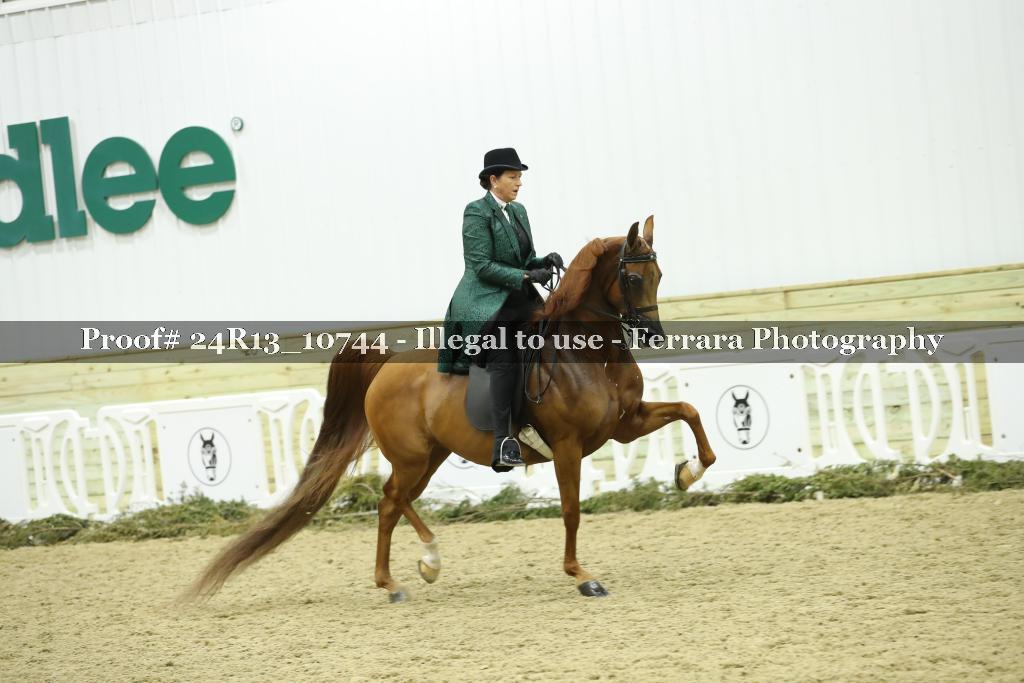 Proof 24R13_10744