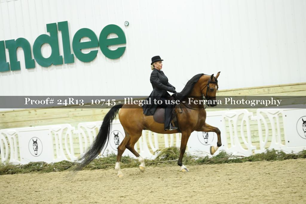 Proof 24R13_10745