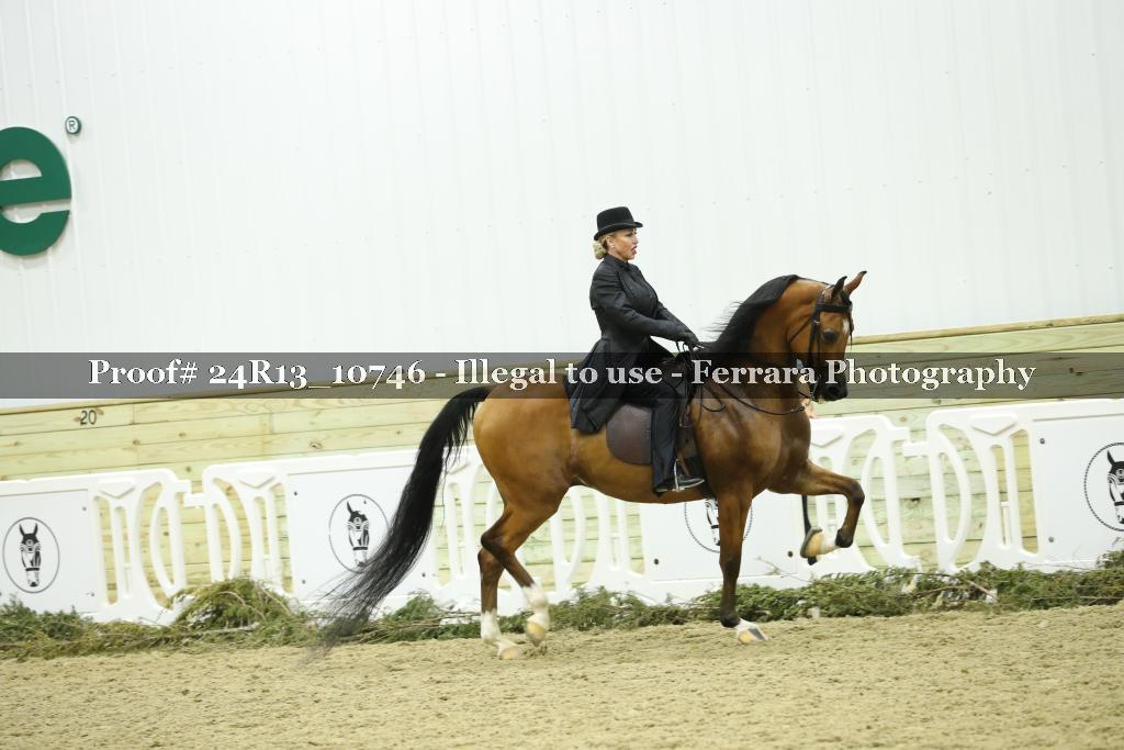 Proof 24R13_10746