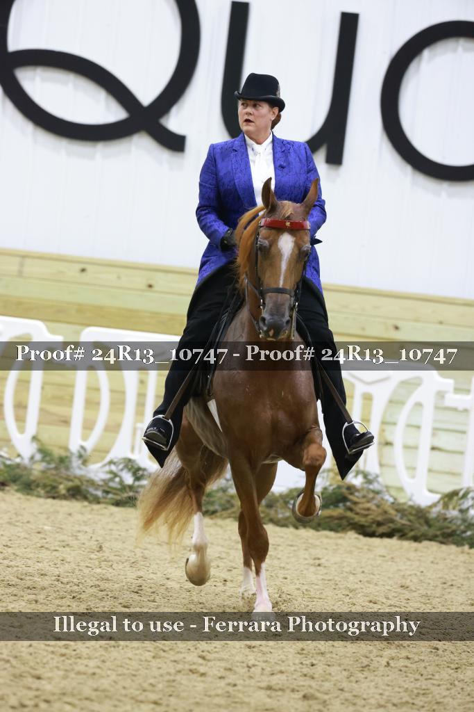 Proof 24R13_10747