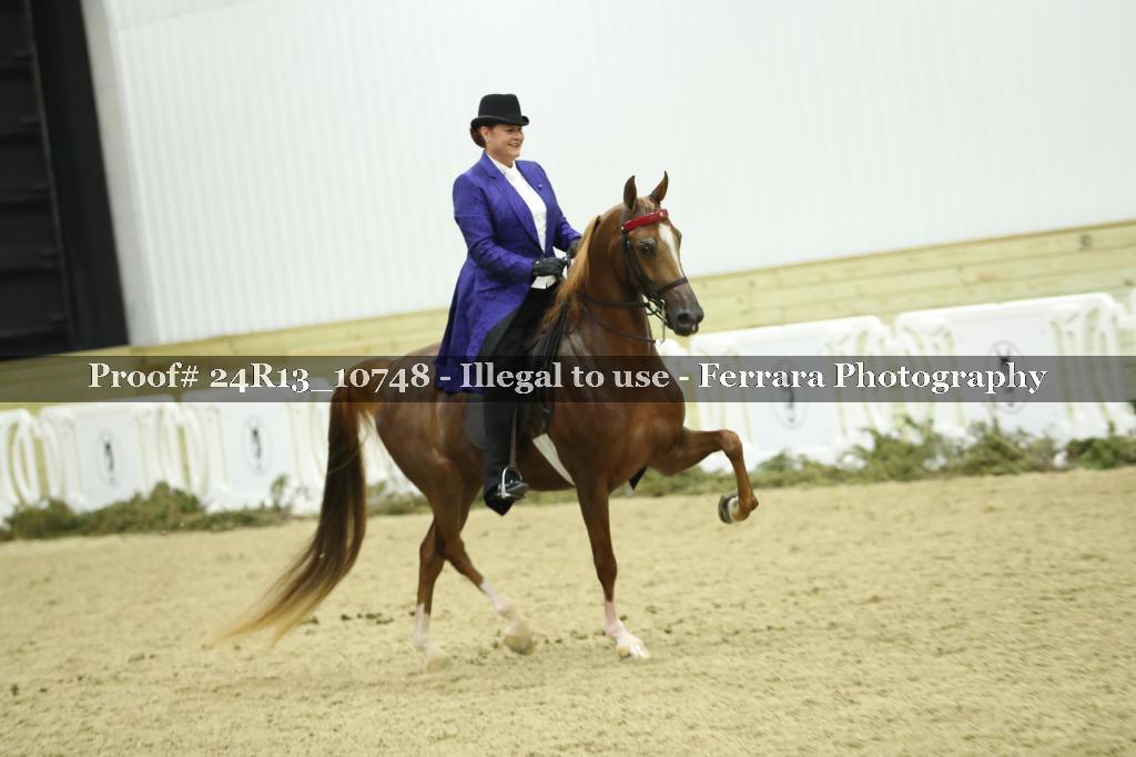 Proof 24R13_10748