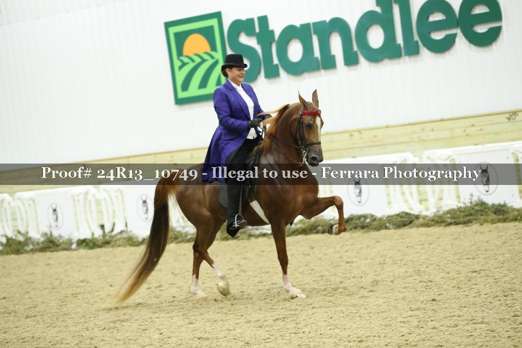Proof 24R13_10749