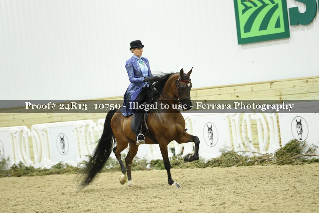 Proof 24R13_10750