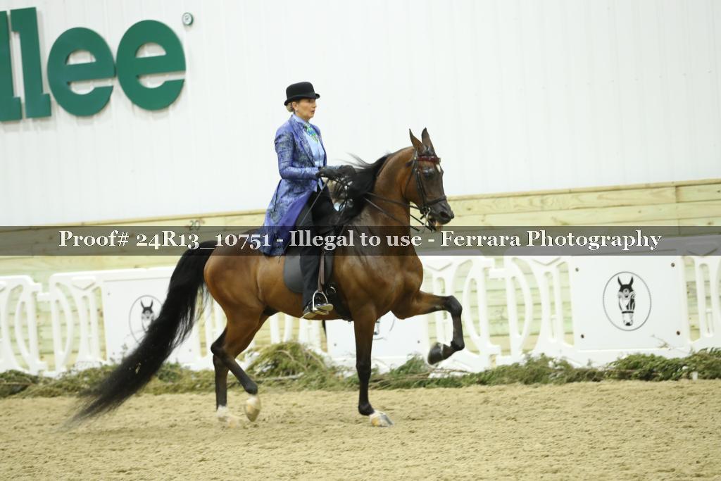 Proof 24R13_10751