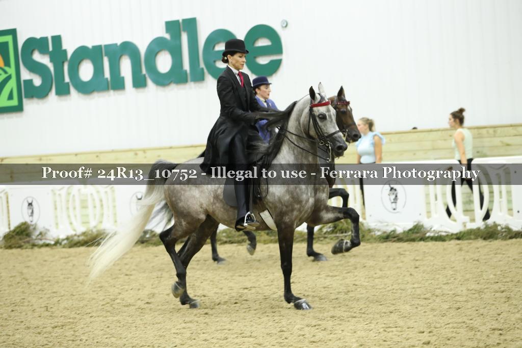 Proof 24R13_10752