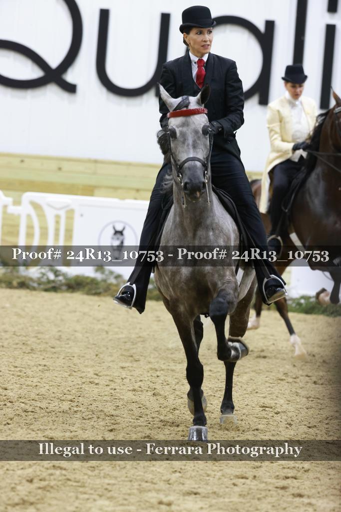 Proof 24R13_10753