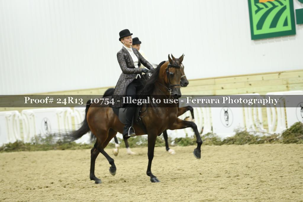 Proof 24R13_10754