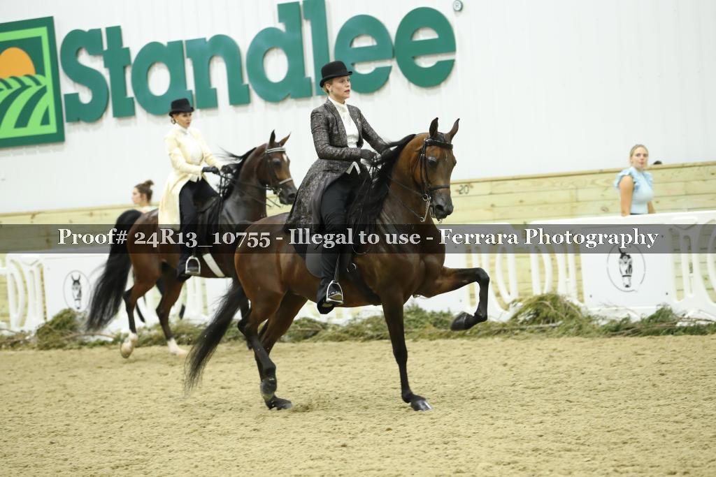 Proof 24R13_10755