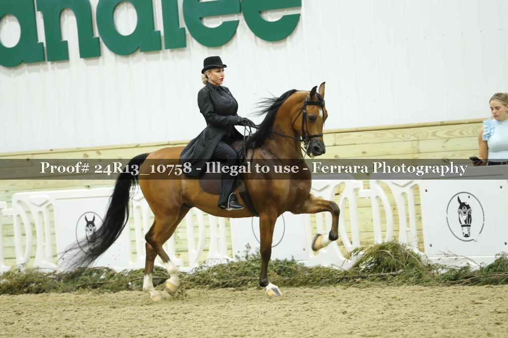 Proof 24R13_10758