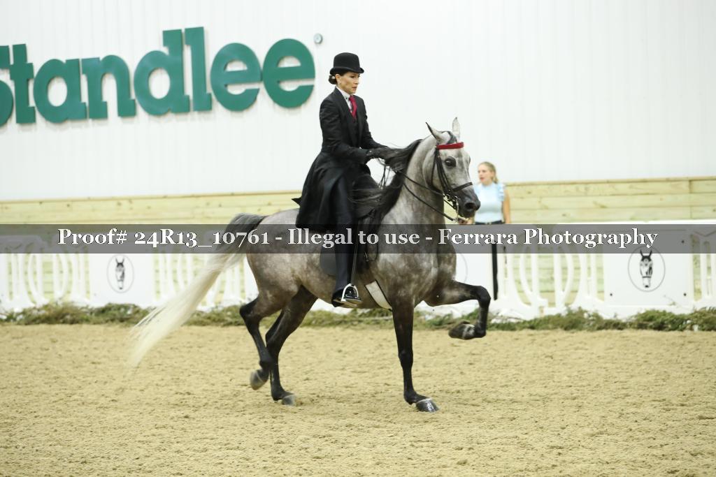 Proof 24R13_10761