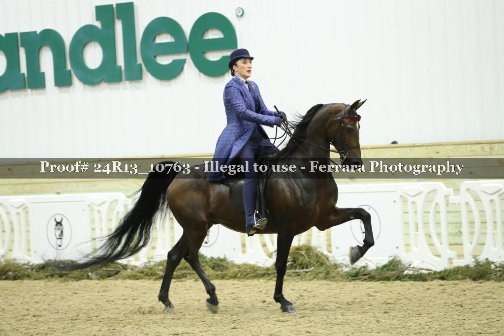 Proof 24R13_10763