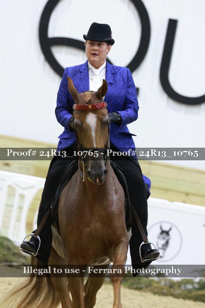 Proof 24R13_10765