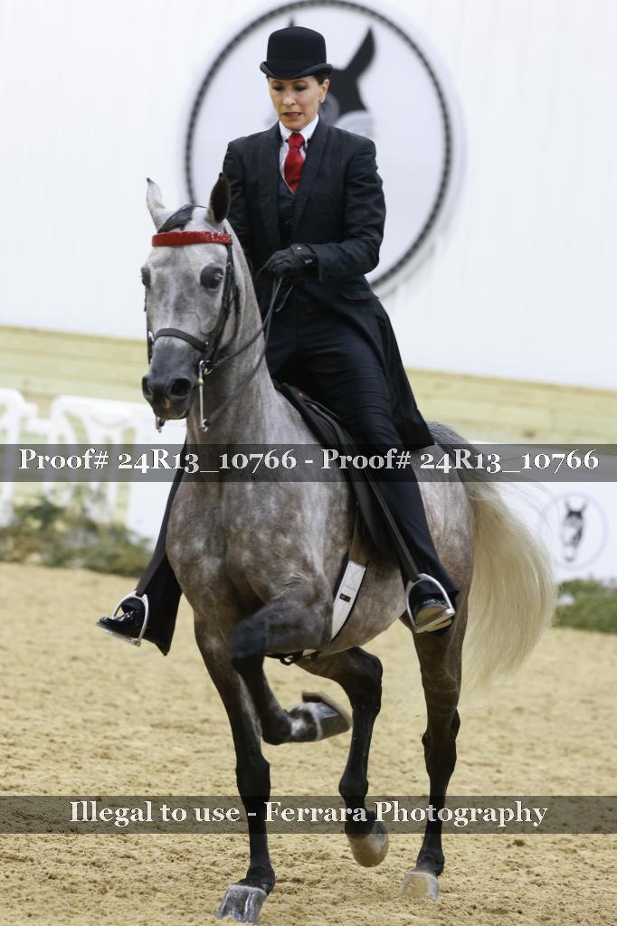 Proof 24R13_10766