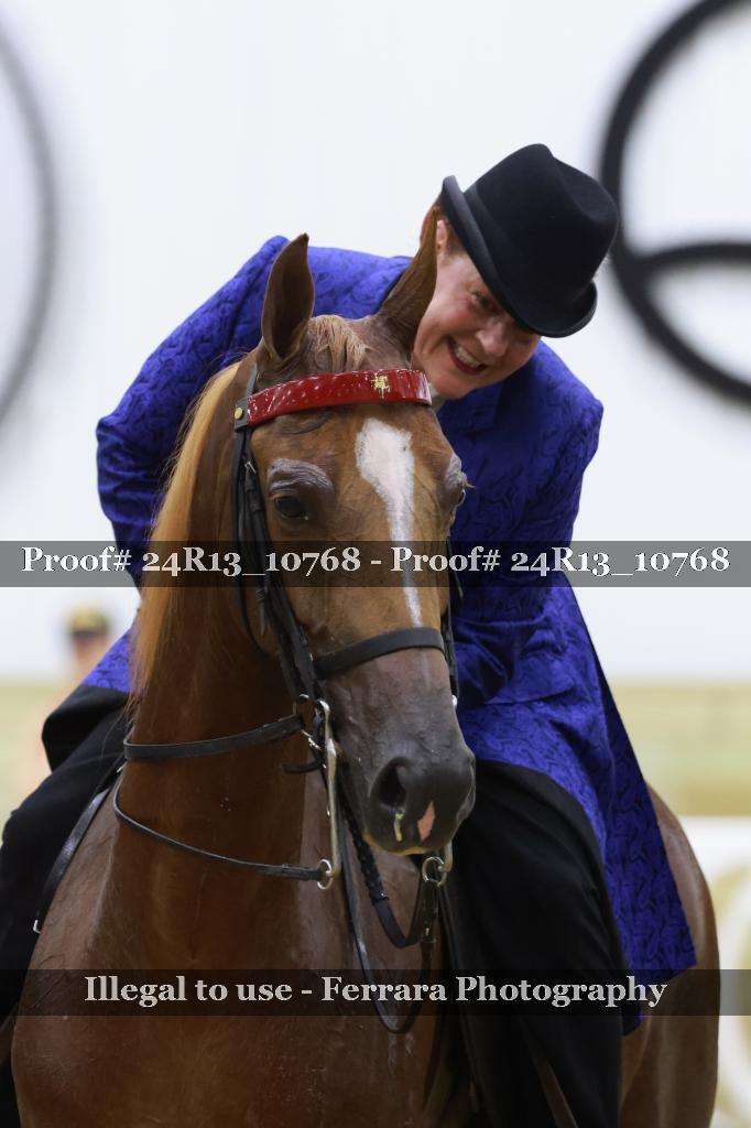 Proof 24R13_10768
