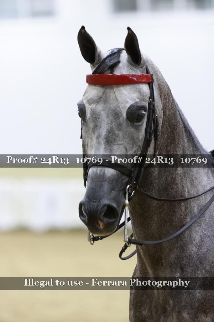 Proof 24R13_10769