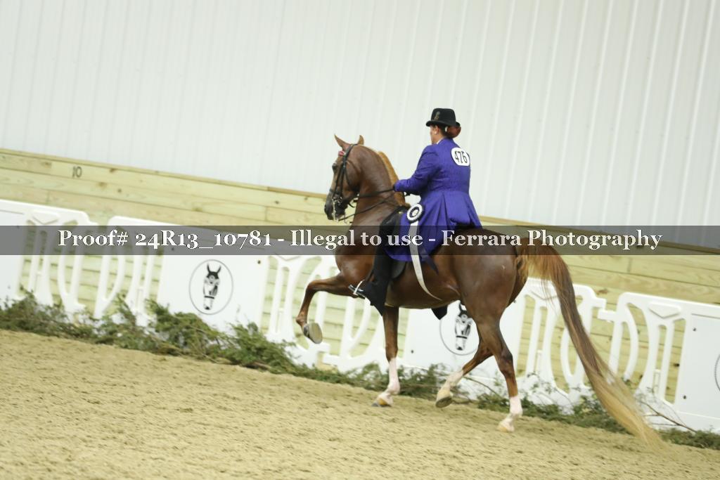 Proof 24R13_10781