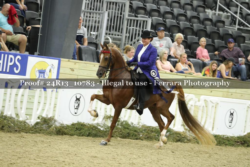 Proof 24R13_10783