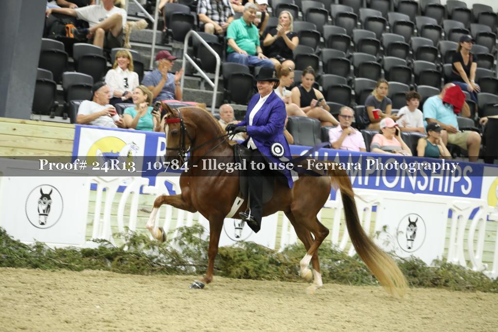 Proof 24R13_10784