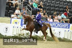 24R13_10784 proof